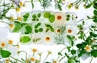 d981d988d8a7db8cd8af d985d8a7d8b3daa9 db8cd8ae d8a8d8b1d8a7db8c d8acd988d8a7d986db8c d988 d8b2db8cd8a8d8a7db8cdb8c d9bed988d8b3d8aa 66e6be657ab5e