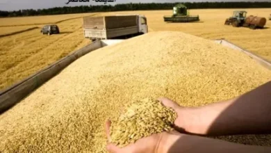 d8a8d8a7d982db8cd985d8a7d986d8afd987 d985d8b7d8a7d984d8a8d8a7d8aa daafd986d8afd985daa9d8a7d8b1d8a7d986 d8a7d985d8b1d988d8b2 d9be 6718d06b6d602