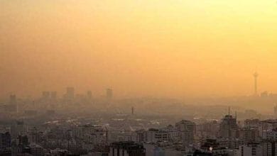 d8a8db8cd985d8a7d8b1db8c d8aad986d981d8b3db8c d8a2d984d988d8afdaafdb8c d987d988d8a7 d8b9d984d8aa d8aad8b4d8afdb8cd8af d8a8db8cd985d8a7 6714dbbc96acc