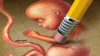 بررسی ماهیت حقوقی سقط جنین در حقوق ایران 2 d8a8d8b1d8b1d8b3db8c d985d8a7d987db8cd8aa d8add982d988d982db8c d8b3d982d8b7 d8acd986db8cd986 d8afd8b1 d8add982d988d982 d8a7db8cd8b1d8a7 672f5659cea58