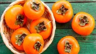 خواص عجیب خرمالو | اگر کم خون هستیدحتما خرمالو بخورید 2 d8aed988d8a7d8b5 d8b9d8acdb8cd8a8 d8aed8b1d985d8a7d984d988 d8a7daafd8b1 daa9d985 d8aed988d986 d987d8b3d8aadb8cd8afd8add8aad985d8a7 6747f2280e78e