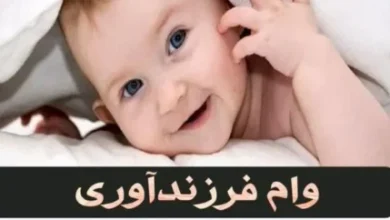 صفر تا صد دریافت وام فرزندآوری 5 d8b5d981d8b1 d8aad8a7 d8b5d8af d8afd8b1db8cd8a7d981d8aa d988d8a7d985 d981d8b1d8b2d986d8afd8a2d988d8b1db8c 6749b3dd81719