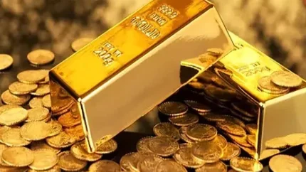 d982db8cd985d8aa d8b7d984d8a7 d988 d8b3daa9d987 d981d8b1d8afd8a7 d8b4d986d8a8d987 dbb1dbb0 d8a2d8b0d8b1 da86daafd988d987 d9bedb8cd8b4 674ae93a3d694