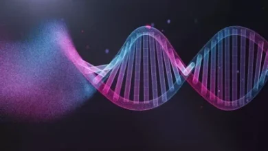 ژن چیست؟|ارتباط ژنهای اپراتور و تنظیمکننده چیست؟ 4 da98d986 da86db8cd8b3d8aad89fd8a7d8b1d8aad8a8d8a7d8b7 da98d986d987d8a7db8c d8a7d9bed8b1d8a7d8aad988d8b1 d988 d8aad986d8b8db8c 676287c05ea91