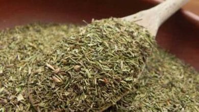 d8a2d988db8cd8b4d986d88c d8b2d986d8acd8a8db8cd984 d988 d986d982d8b1d987 d8a8d987 daa9d985daa9 d8b2d8aed985d987d8a7db8c d8afdb8c 6788fbf1da52f