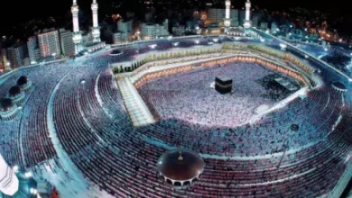 خبر فوری از سازمان حج و زیارت؛ اطلاعیهای حیاتی برای زائران 5 d8aed8a8d8b1 d981d988d8b1db8c d8a7d8b2 d8b3d8a7d8b2d985d8a7d986 d8add8ac d988 d8b2db8cd8a7d8b1d8aad89b d8a7d8b7d984d8a7d8b9db8cd987 67814b17070ca