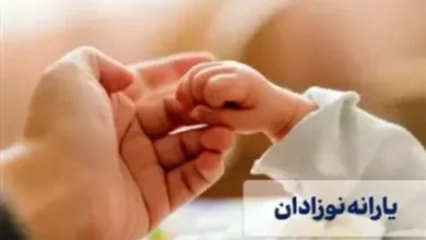 سایت یارانه های مادران/گام جدید دولت برای حمایت از مادران با واریز یارانه معیشتی(یسنا) 3 d8b3d8a7db8cd8aa db8cd8a7d8b1d8a7d986d987 d987d8a7db8c d985d8a7d8afd8b1d8a7d986 daafd8a7d985 d8acd8afdb8cd8af d8afd988d984d8aa d8a8d8b1 679d16a12988f