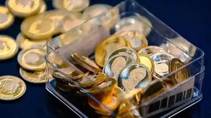 d8b6d8b1d8a8 d8b3daa9d987d987d8a7db8c d8b7d984d8a7db8c d8a8d987d8a7d8b1 d8a2d8b2d8a7d8afdb8c d8a8d8a7 d8aad8a7d8b1db8cd8ae dbb1 67915546d143d