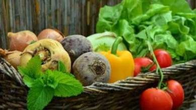 قیمت سبزیجات در دی ۱۴۰۳ به اوج رسید؛ افزایش عجیب قیمت سبزی خوردن 2 d982db8cd985d8aa d8b3d8a8d8b2db8cd8acd8a7d8aa d8afd8b1 d8afdb8c dbb1dbb4dbb0dbb3 d8a8d987 d8a7d988d8ac d8b1d8b3db8cd8afd89b d8a7d981d8b2 67840a7535617