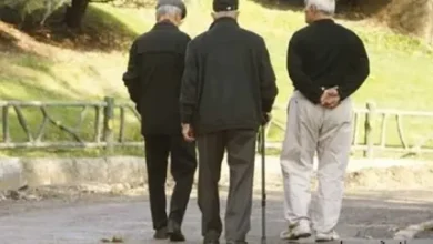 بازنشستگان تامین اجتماعی مازندران از وضعیت معیشتی ابراز نگرانی کردند 3 d8a8d8a7d8b2d986d8b4d8b3d8aadaafd8a7d986 d8aad8a7d985db8cd986 d8a7d8acd8aad985d8a7d8b9db8c d985d8a7d8b2d986d8afd8b1d8a7d986 d8a7d8b2 67c1acf8763df