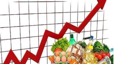 d8acd8afdb8cd8afd8aad8b1db8cd986 d986d8b1d8ae d8aad988d8b1d985 d8afd8b1 daa9d8b4d988d8b1 d8b1daa9d988d8b1d8af d8aad988d8b1d985 d8afd8b1 67bb6932bf688