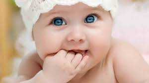 این کالسکه خاص نیم میلیارد تومان قیمت دارد! 3 d8a7db8cd986 daa9d8a7d984d8b3daa9d987 d8aed8a7d8b5 d986db8cd985 d985db8cd984db8cd8a7d8b1d8af d8aad988d985d8a7d986 d982db8cd985 67d20afab9762