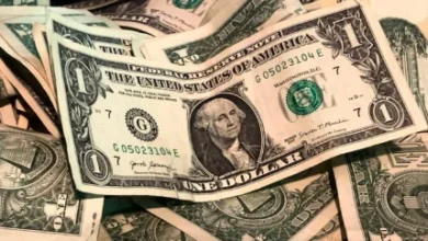 d982db8cd985d8aa d8afd984d8a7d8b1 d8a2d985d8b1db8cdaa9d8a7 d8afd8b1 dbb3 d981d8b1d988d8b1d8afdb8cd986 dbb1dbb4dbb0dbb4 da86d982d8afd8b1 67e0a7e6620f1