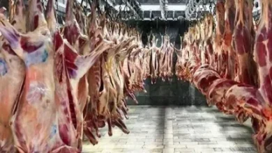 daafd988d8b4d8aa d982d8b1d985d8b2 d984d988daa9d8b3 d8b4d8afd89f d985d8a7d8acd8b1d8a7db8c d982db8cd985d8aa dbb4dbb6dbb0 d987d8b2d8a7 6828d5f9c201b