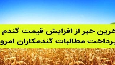 آخرین خبر از پرداخت مطالبات گندمکاران صبح جمعه ۲۷ تیر/ قیمت جدید گندم بالاخره مشخص شد 4 d8a2d8aed8b1db8cd986 d8aed8a8d8b1 d8a7d8b2 d9bed8b1d8afd8a7d8aed8aa d985d8b7d8a7d984d8a8d8a7d8aa daafd986d8afd985daa9d8a7d8b1d8a7d986 687a3eb34e85a