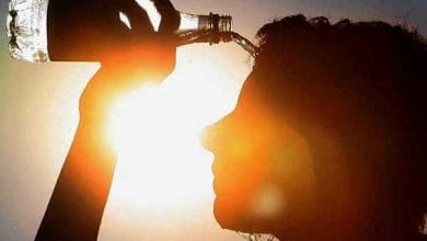 d8afd985d8a7db8c d8a8db8cd8b1d8add985 dbb5dbb0 d8afd8b1d8acd987 d985d988d8ac d8acd8afdb8cd8af daafd8b1d985d8a7 d8afd8b1 daa9d8b4 687b580d898e6