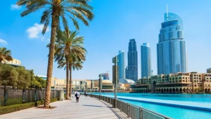 db8cd8a7d8b1d8a7d986d987 d8b3d981d8b1 d8a8d987d8acd8a7db8c db8cd8a7d8b1d8a7d986d987 d986d982d8afdb8cd89f d8b7d8b1d8ad d8aad8b9 68853b06d5d77