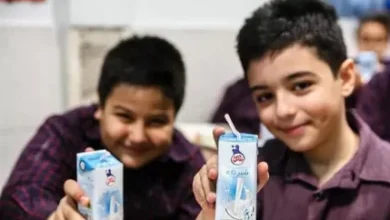 d8a8d988d8afd8acd987 d986d8a7daa9d8a7d981db8cd88c d985d8a7d986d8b9 d8a7d8acd8b1d8a7db8c daa9d8a7d985d984 d8a8d8b1d986d8a7d985d987 d8b4 68fb009c9147f