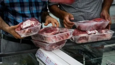 قیمت امروز گوشت گوسفندی و گوساله در بازار/ گوشت در قصابی چند؟ 3 d982db8cd985d8aa d8a7d985d8b1d988d8b2 daafd988d8b4d8aa daafd988d8b3d981d986d8afdb8c d988 daafd988d8b3d8a7d984d987 d8afd8b1 d8a8d8a7d8b2 68f60fe95b35d