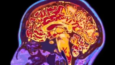 d8a2db8cd8a7 d985db8cd8afd8a7d986d8b3d8aadb8cd8af d985d8bad8b2 d8a7d986d8b3d8a7d986 d8aad8a7 dbb3dbb2 d8b3d8a7d984daafdb8c d8a8 692c004875aa0