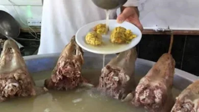 افزایش عجیب قیمت کلهپاچه جنجال ساخت/ آیا این خوراک محبوب هم لوکس شد؟/ روایت تازه از پشتپرده گرانیها 6 d8a7d981d8b2d8a7db8cd8b4 d8b9d8acdb8cd8a8 d982db8cd985d8aa daa9d984d987d9bed8a7da86d987 d8acd986d8acd8a7d984 d8b3d8a7d8aed8aa 692c551b00bb2