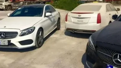 d982d8b7d8b9 d8a8db8cd985d987 d8aadaa9d985db8cd984db8c d8a8d8a7d8b2d986d8b4d8b3d8aadaafd8a7d986 d8b9d984d8aa d988 d8acd8b2d8a6db8cd8a7 692610295e171