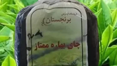 وام کمبهره ویژه چایکاران / آغاز پرداخت رسمی در ۱۴۰۴ / طرح حمایتی دولت برای رونق تولید داخلی چای 3 d988d8a7d985 daa9d985d8a8d987d8b1d987 d988db8cda98d987 da86d8a7db8cdaa9d8a7d8b1d8a7d986 d8a2d8bad8a7d8b2 d9bed8b1d8afd8a7 69082ff9c97d8