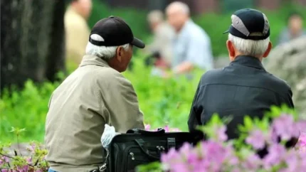 d8aad8a7d8b1db8cd8ae d8afd982db8cd982 d9bed8b1d8afd8a7d8aed8aa d8add982d988d982 d8a8d8a7d8b2d986d8b4d8b3d8aadaafd8a7d986 d8a8d8a7d984 69462623f01a9