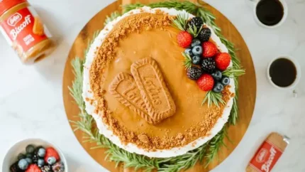 دسر یلدایی بیسکوییت انار با کرم لوتوس / طرز تهیه کرم لوتوس و بیسکوییت انار شب چله 1 d8afd8b3d8b1 db8cd984d8afd8a7db8cdb8c d8a8db8cd8b3daa9d988db8cdb8cd8aa d8a7d986d8a7d8b1 d8a8d8a7 daa9d8b1d985 d984d988d8aad988d8b3 694188b9bfe54