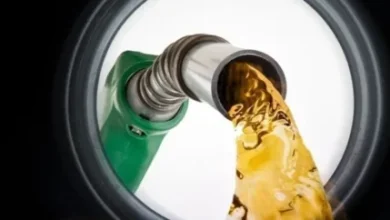 d982d8b7d8b9 d8b3d987d985db8cd987 d8b3d988d8aed8aa d8aed988d8afd8b1d988d987d8a7 d982d8b7d8b9db8c d988 d985d8b1daafd8a8d8a7d8b1 d8b4d8af 6936fd179a4aa