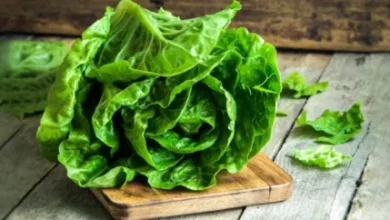 daa9d8a7d987d988d89b d8b3d8a8d8b2db8c d9bed8b1d8aed8a7d8b5db8cd8aa db8cd8a7 d8aed8b7d8b1d986d8a7daa9d89f d981d988d8a7db8cd8af d988 692ef7cb27ff7