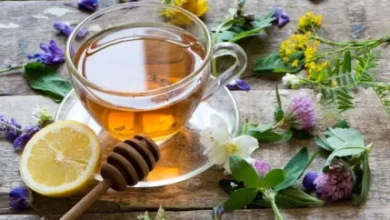 dbb7 d8afd985d986d988d8b4 d8a8d8b1d8aad8b1 d8b3d8b1d985d8a7d8aed988d8b1d8afdaafdb8c d8b1d8a7 d8a8d8b4d986d8a7d8b3db8cd8af d985d8b9d8ac 694134e99cf7d